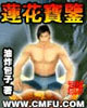莲花宝鉴 cover 封面