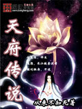 天府传说 cover 封面