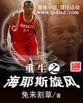 重生之海耶斯旋风 cover 封面