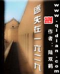 迷失在一六二九 cover 封面