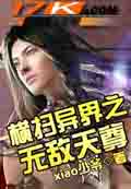 横扫异界之无敌天尊 cover 封面
