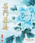名门正妻 cover 封面