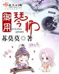 御用琴师 cover 封面