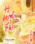 丹凤朝阳 cover 封面