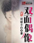 双面偶像 cover 封面