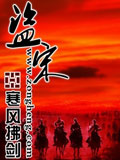 盗宋 cover 封面