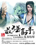 最强高手 cover 封面