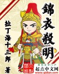 锦衣杀明 cover 封面