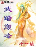 武踏巅峰 cover 封面