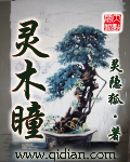灵木瞳 cover 封面