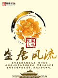 盛唐风流 cover 封面