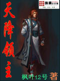 天降领主 cover 封面