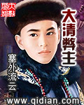 大清弊主 cover 封面