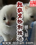 超级宠物制造池 cover 封面
