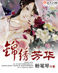 锦绣芳华 cover 封面