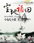 宝地福田 cover 封面