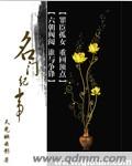 名门纪事 cover 封面