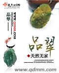 品翠 cover 封面