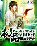极品草根太子 cover 封面