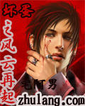 坏蛋之风云再起 cover 封面