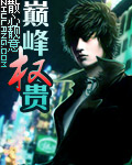 巅峰权贵 cover 封面
