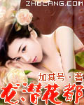 龙潜花都 cover 封面