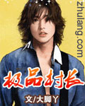 极品村长 cover 封面
