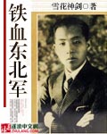 铁血东北军 cover 封面