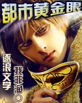 都市黄金眼 cover 封面