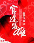 官途枭雄 cover 封面