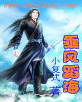 乘风蹈海 cover 封面