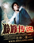 巅峰传说 cover 封面