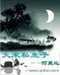 大宋私生子 cover 封面
