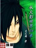 从火影世界归来 cover 封面