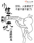 小娘子驯夫记 cover 封面