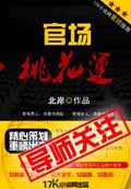 官场桃花运 cover 封面