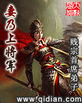 妻乃上将军 cover 封面