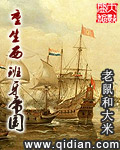 重生西班牙帝国 cover 封面