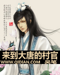 来到大唐的村官 cover 封面