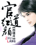 官道红颜 cover 封面