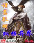 诸葛孔明纵横异界 cover 封面