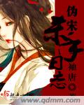 伪宋杀手日志 cover 封面