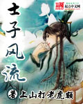 士子风流 cover 封面