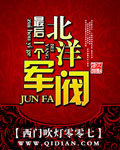 最后一个北洋军阀 cover 封面