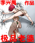 极品老婆 cover 封面
