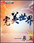 完美世界 cover 封面
