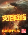 灾厄降临 cover 封面