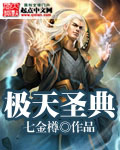 极天圣典 cover 封面