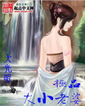 极品大小老婆 cover 封面