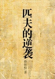 匹夫的逆袭 cover 封面